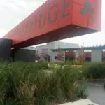 Scenic wine tour photo #1