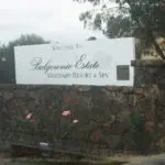 Scenic wine tour photo #3